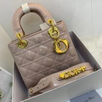 Mini Lady Dior Bag step n carry